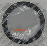 Сальник коленвала задний дв.EDZ Chrysler